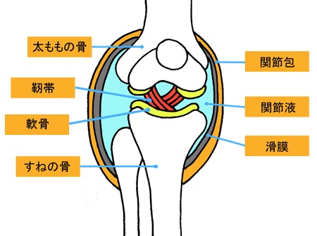 膝痛の原因！！　京都市北区北大路　北大路東洋鍼灸整骨院