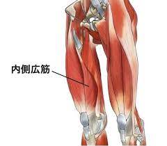変形性膝関節症(O脚)の原因！！　京都市北区北大路　北大路東洋鍼灸整骨院