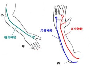 手の痺れ　手の痛み　京都市北区/左京区　北大路東洋鍼灸整骨院