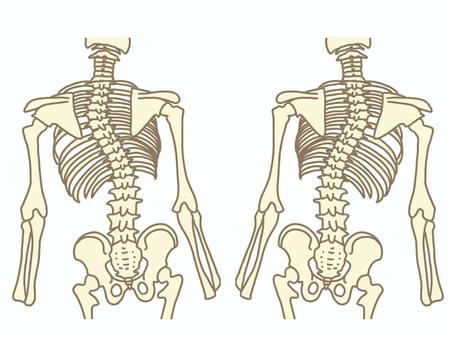 【京都市北区・左京区・北大路で身体の歪み改善】整骨院が伝える正しいケアと予防法　北大路東洋鍼灸整骨院